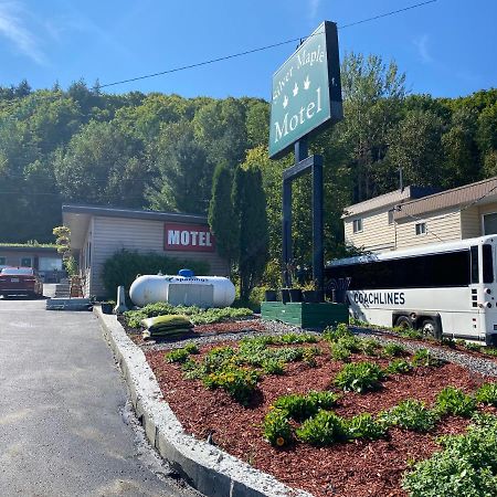 Silver Maple Motel Халибъртън Екстериор снимка